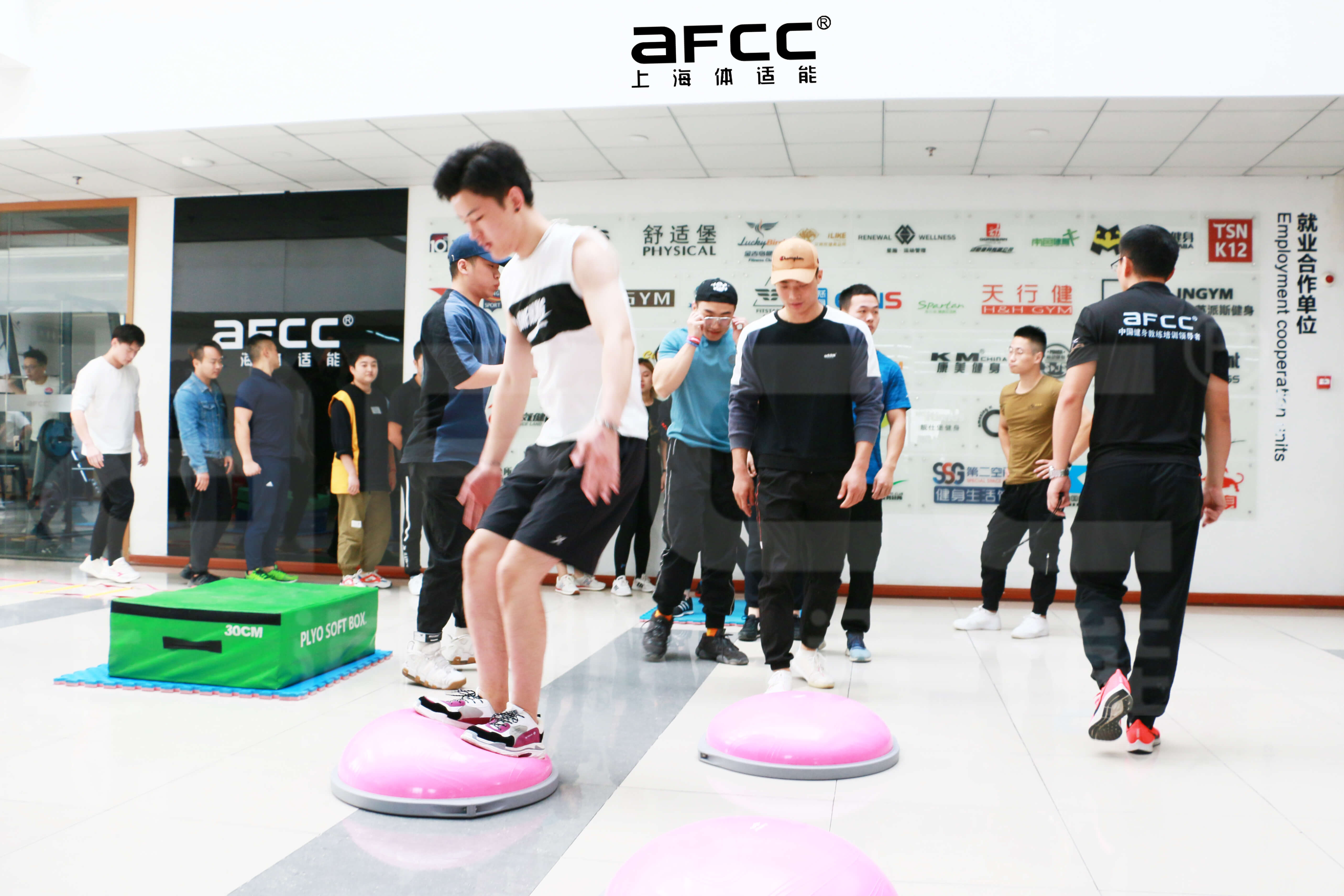上海体适能学校教研团队由多名国家级专业导师组成
